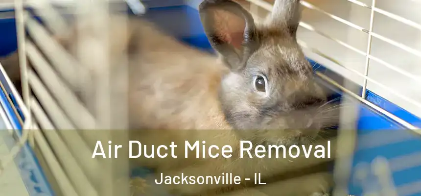 Air Duct Mice Removal Jacksonville - IL