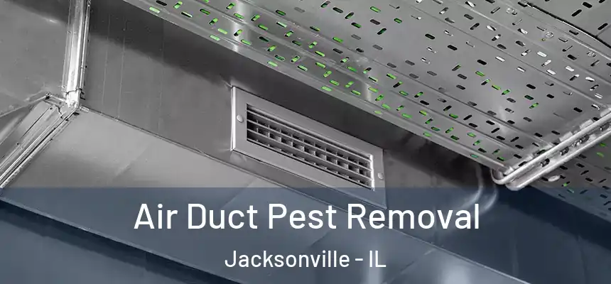  Air Duct Pest Removal Jacksonville - IL