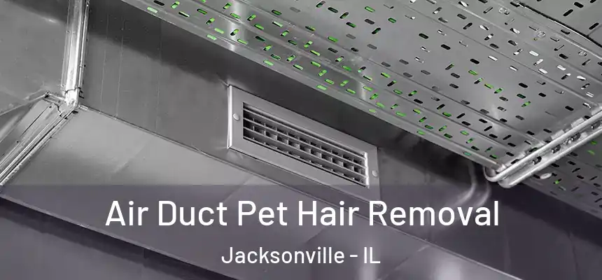 Air Duct Pet Hair Removal Jacksonville - IL
