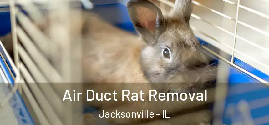 Air Duct Rat Removal Jacksonville - IL