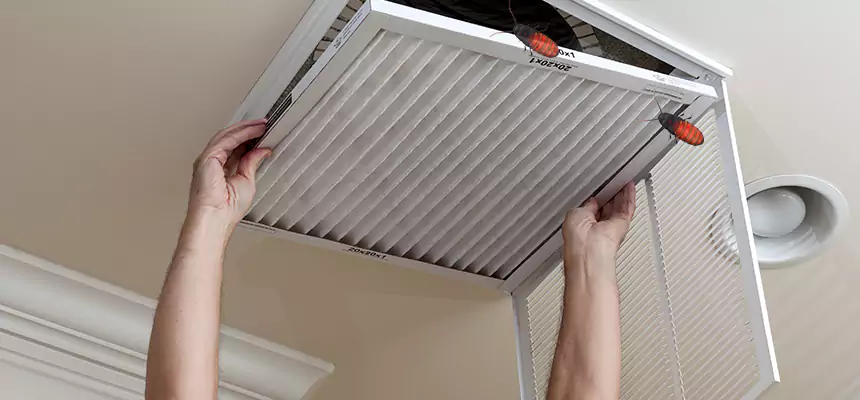 Our Insect Removal from Air Ducts Services in Jacksonville, IL