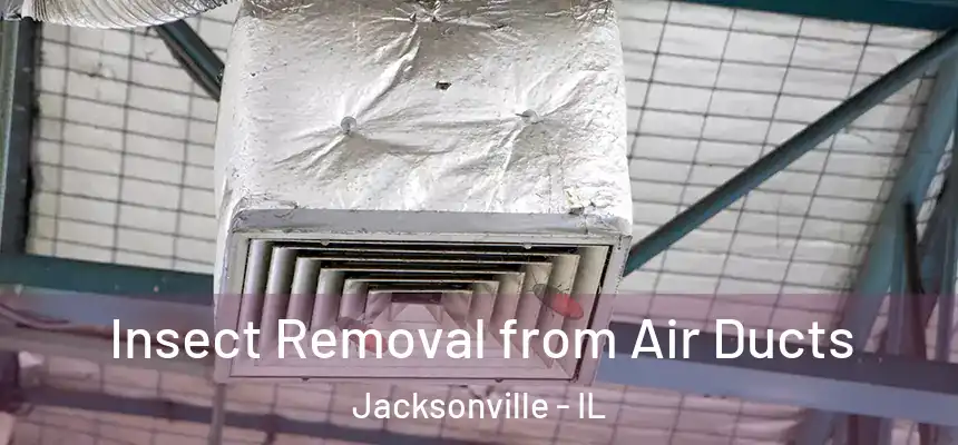  Insect Removal from Air Ducts Jacksonville - IL