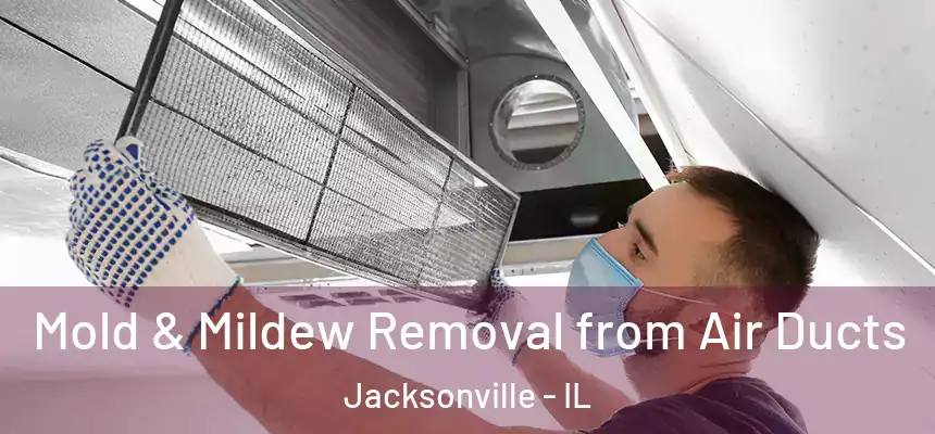  Mold & Mildew Removal from Air Ducts Jacksonville - IL