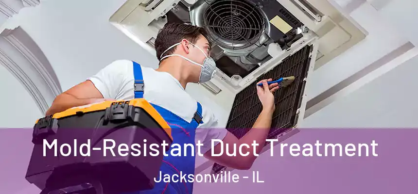 Mold-Resistant Duct Treatment Jacksonville - IL