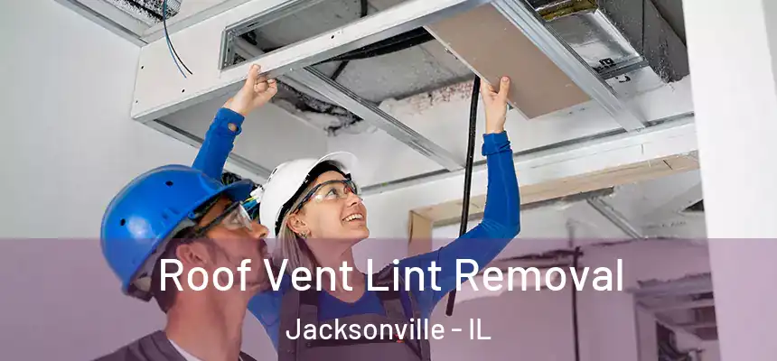 Roof Vent Lint Removal Jacksonville - IL