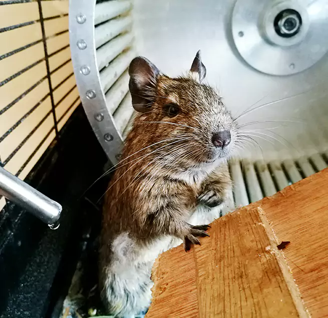 Why Homeowners & Businesses Trust Us Jacksonville, IL