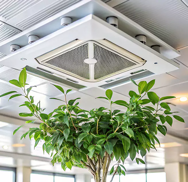 Why Homeowners & Businesses Trust Us in Jacksonville, IL